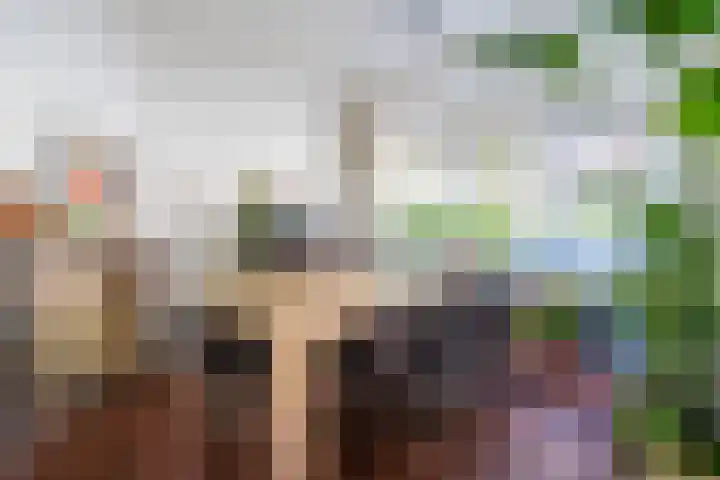 Ambonstraat 25 Groningen thumbnail 10