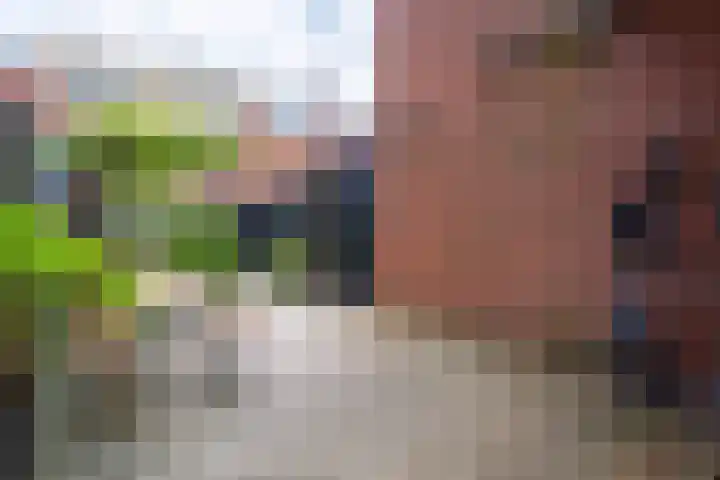 Ambonstraat 25 Groningen thumbnail 27