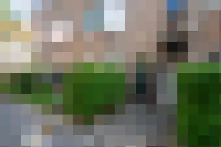 Ambonstraat 25 Groningen thumbnail 29