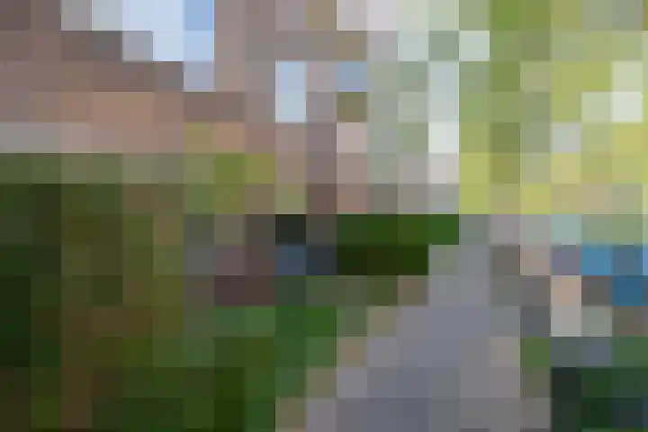 Ambonstraat 25 Groningen thumbnail 31