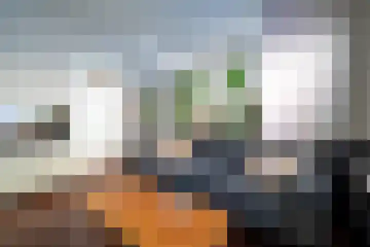Ambonstraat 25 Groningen thumbnail 9