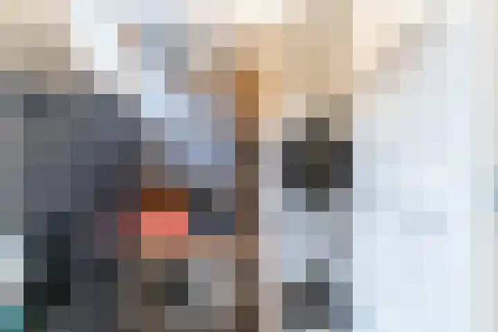 Ambonstraat 26 Delft thumbnail 15