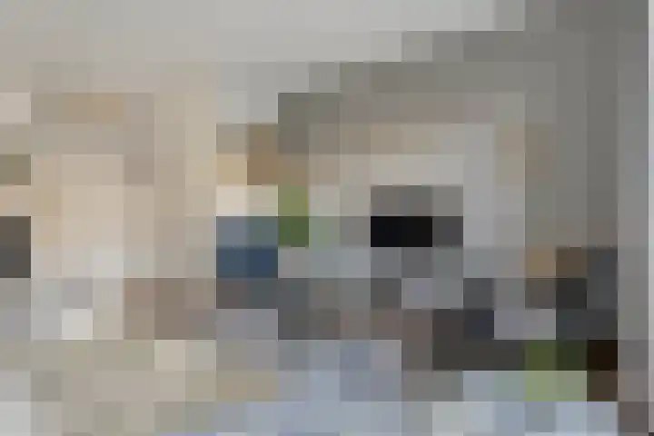 Ambonstraat 27 Zwolle thumbnail 13
