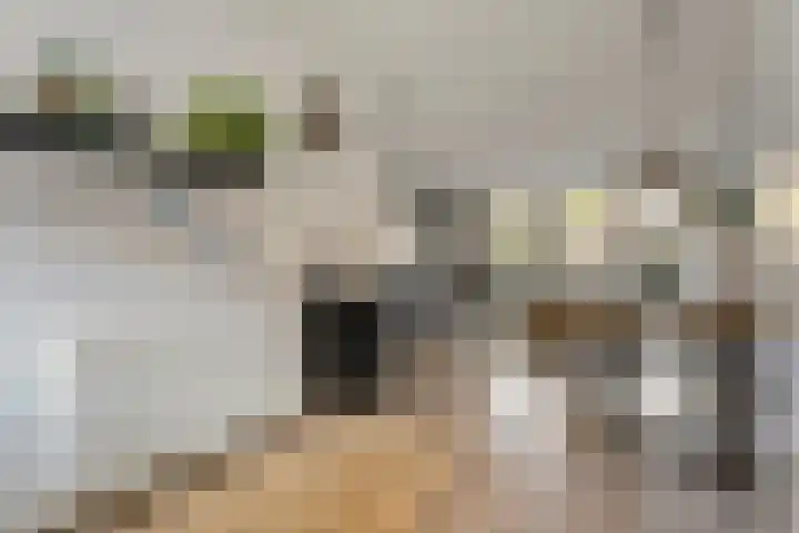 Ambonstraat 27 Zwolle thumbnail 17