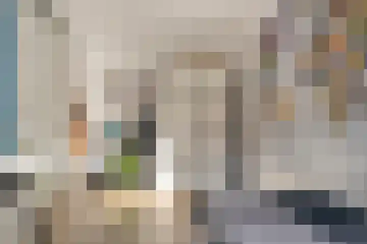 Ambonstraat 27 Zwolle thumbnail 25