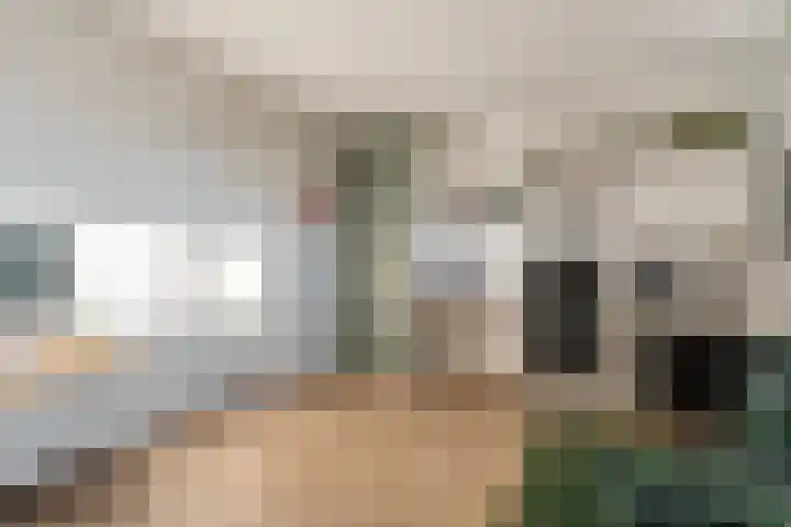 Ambonstraat 27 Zwolle thumbnail 35
