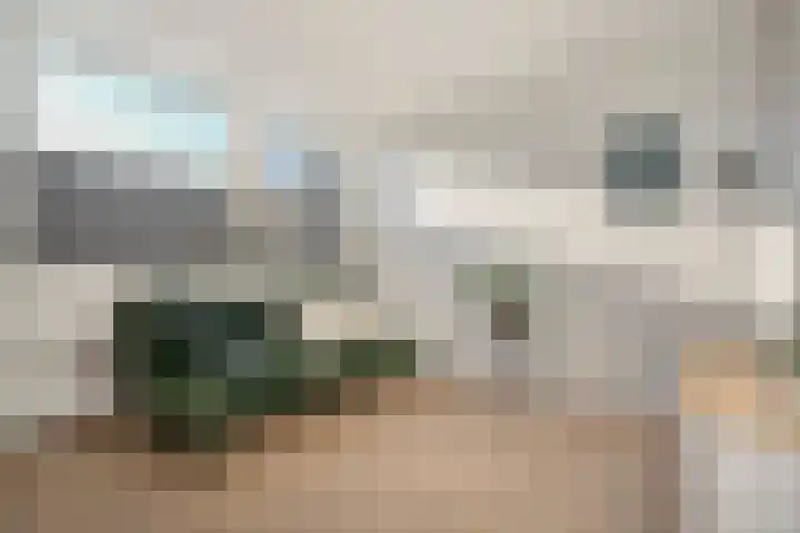 Ambonstraat 27 Zwolle thumbnail 36