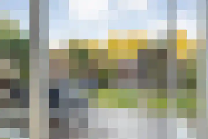 Ambonstraat 27 Zwolle thumbnail 38