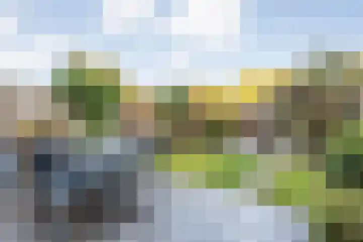 Ambonstraat 27 Zwolle thumbnail 39