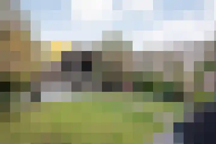 Ambonstraat 27 Zwolle thumbnail 41