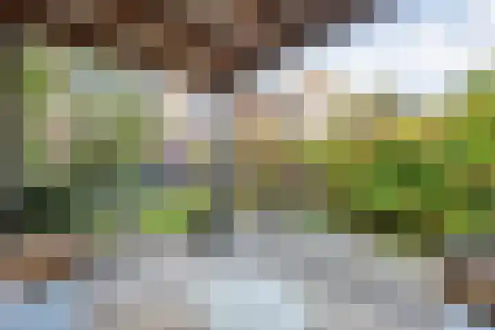 Ambonstraat 27 Zwolle thumbnail 43