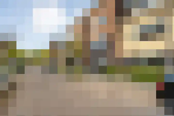Ambonstraat 27 Zwolle thumbnail 51