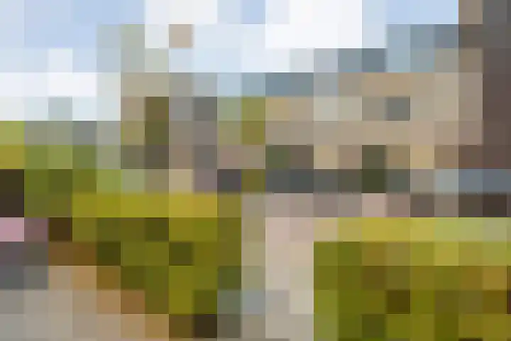 Ambonstraat 27 Zwolle thumbnail 8
