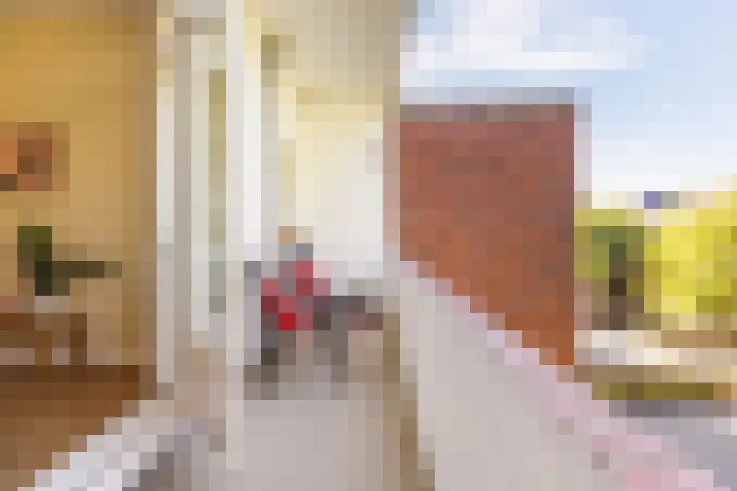 Ambonstraat 28 a Groningen thumbnail 21