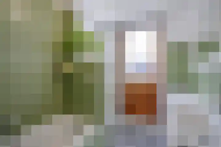 Ambonstraat 29 Delft thumbnail 33