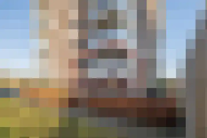 Ambonstraat 34 Almere thumbnail 30