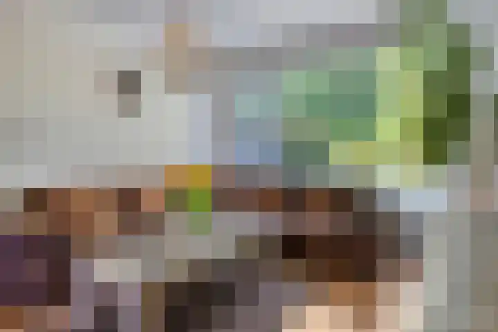 Ambonstraat 4 Capelle aan den IJssel thumbnail 10