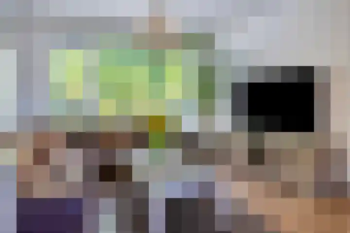 Ambonstraat 4 Capelle aan den IJssel thumbnail 11