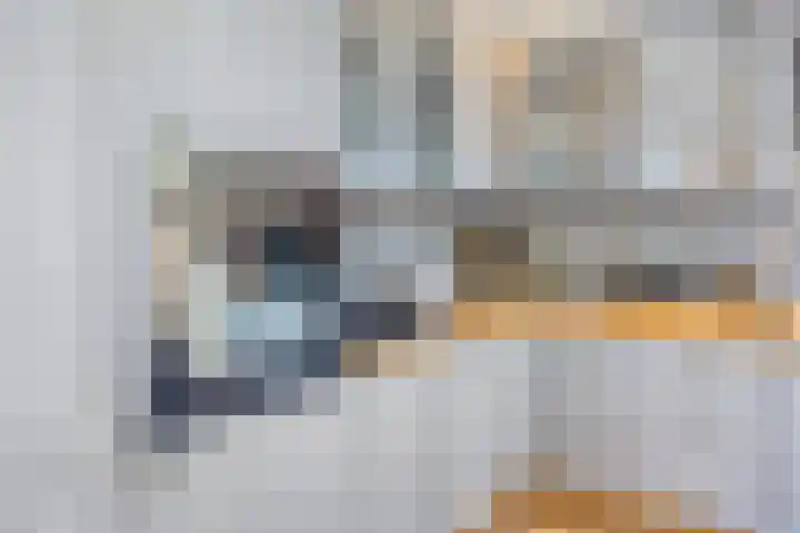 Ambonstraat 4 Capelle aan den IJssel thumbnail 16