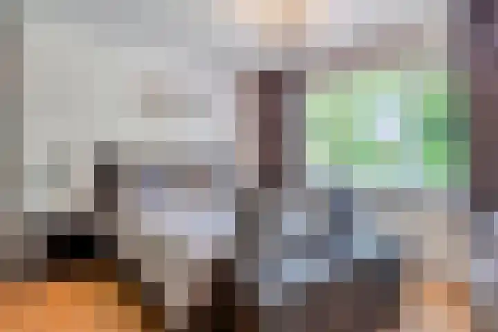 Ambonstraat 4 Capelle aan den IJssel thumbnail 21
