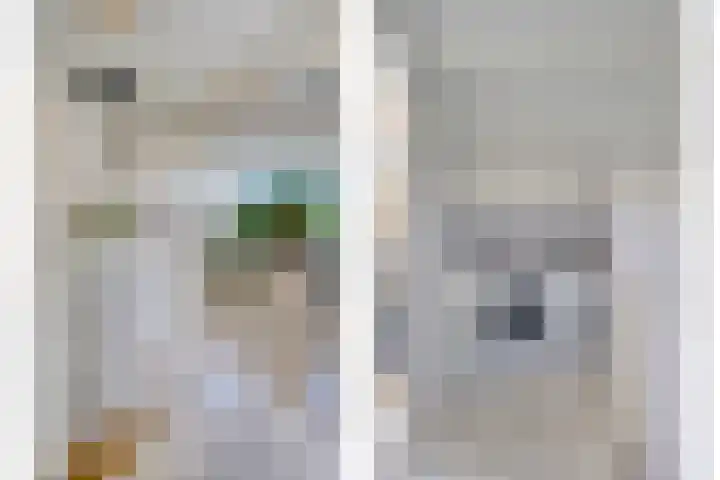 Ambonstraat 4 Capelle aan den IJssel thumbnail 29