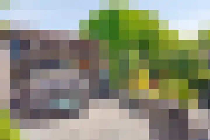Ambonstraat 4 Capelle aan den IJssel thumbnail 32