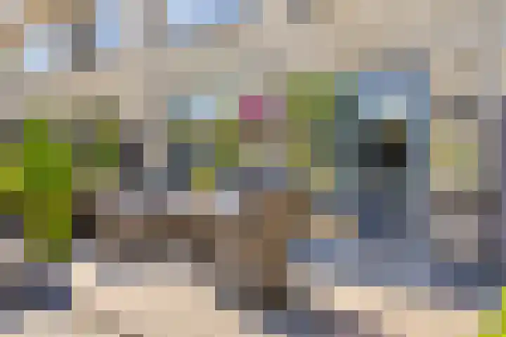 Ambonstraat 4 Capelle aan den IJssel thumbnail 33