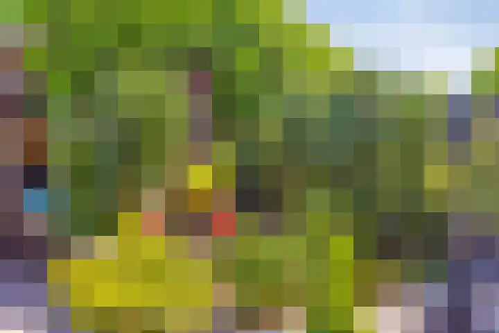 Ambonstraat 4 Capelle aan den IJssel thumbnail 35