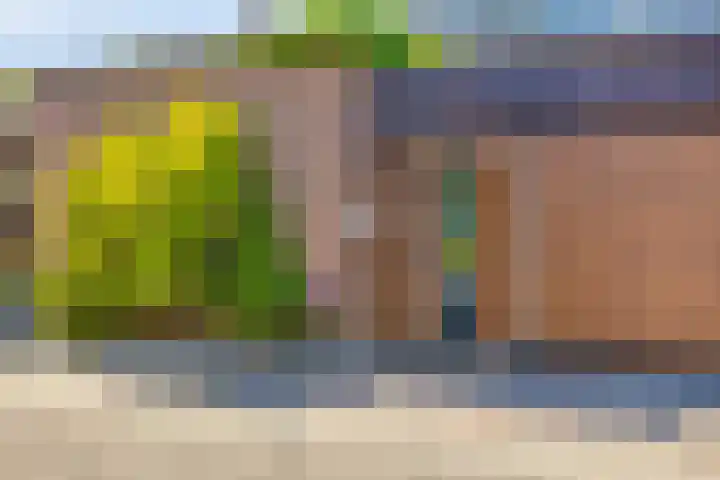Ambonstraat 4 Capelle aan den IJssel thumbnail 38
