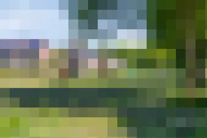 Ambonstraat 4 Capelle aan den IJssel thumbnail 39