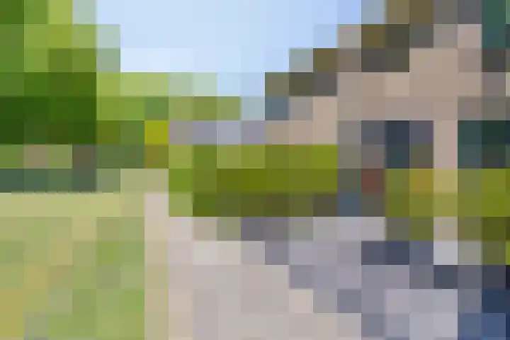 Ambonstraat 4 Capelle aan den IJssel thumbnail 6