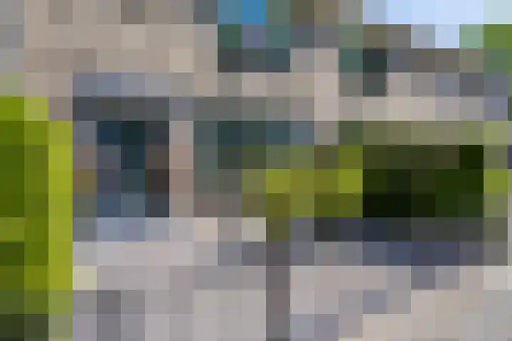 Ambonstraat 4 Capelle aan den IJssel thumbnail 7