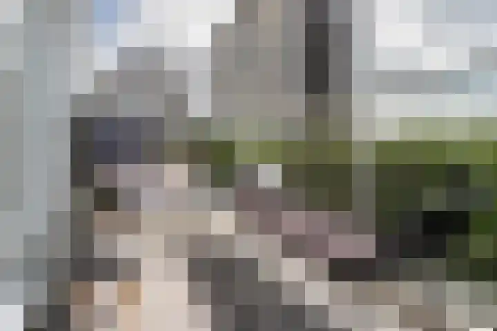 Ambonstraat 44 Almere thumbnail 10
