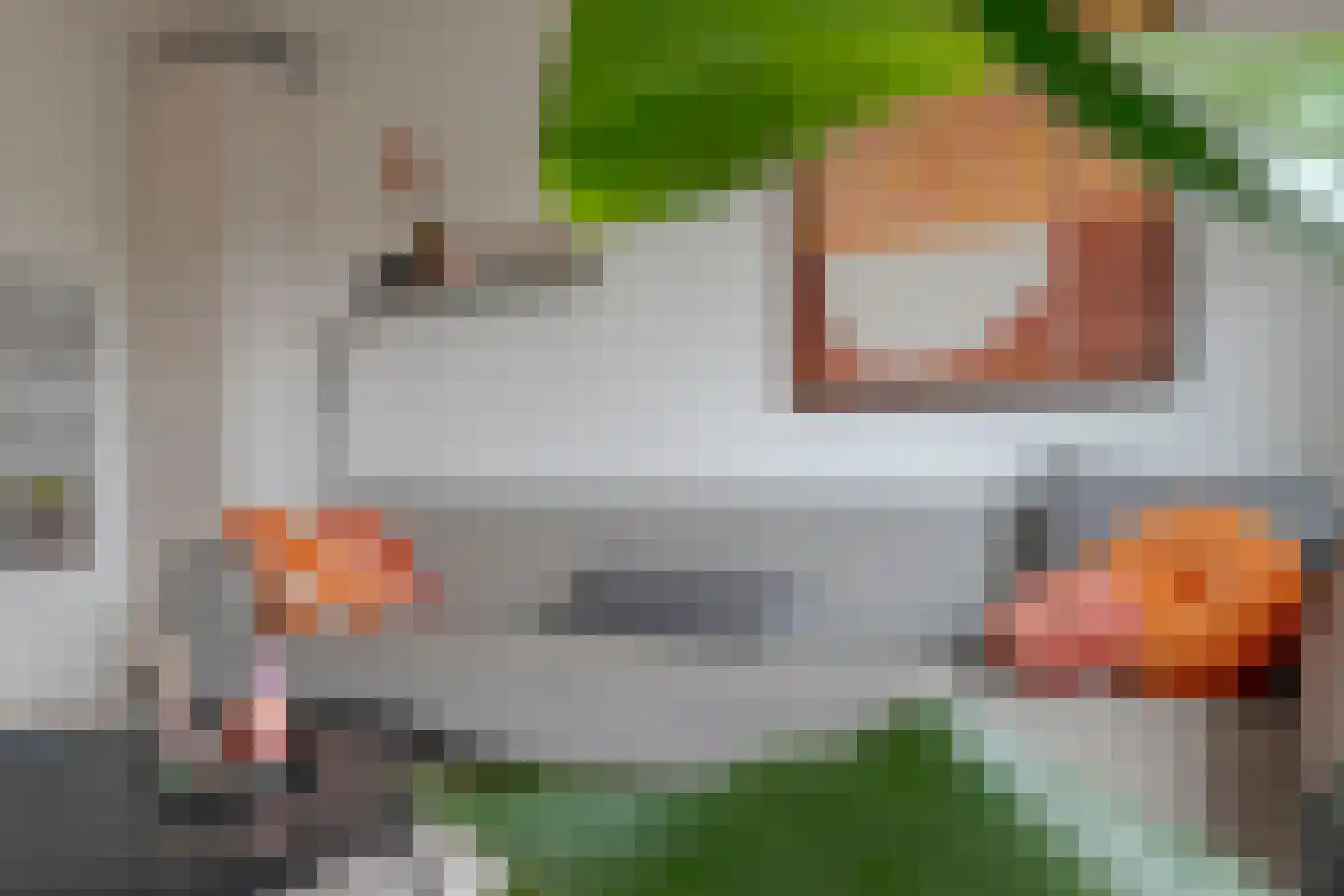 Ambonstraat 44 Zwolle thumbnail 16