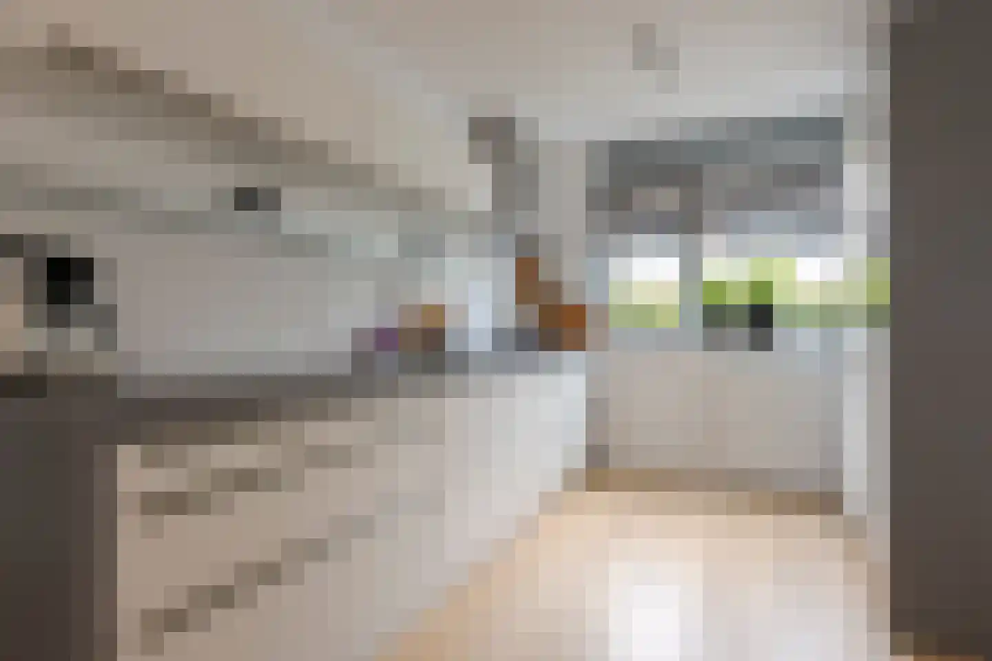 Ambonstraat 44 Zwolle thumbnail 19