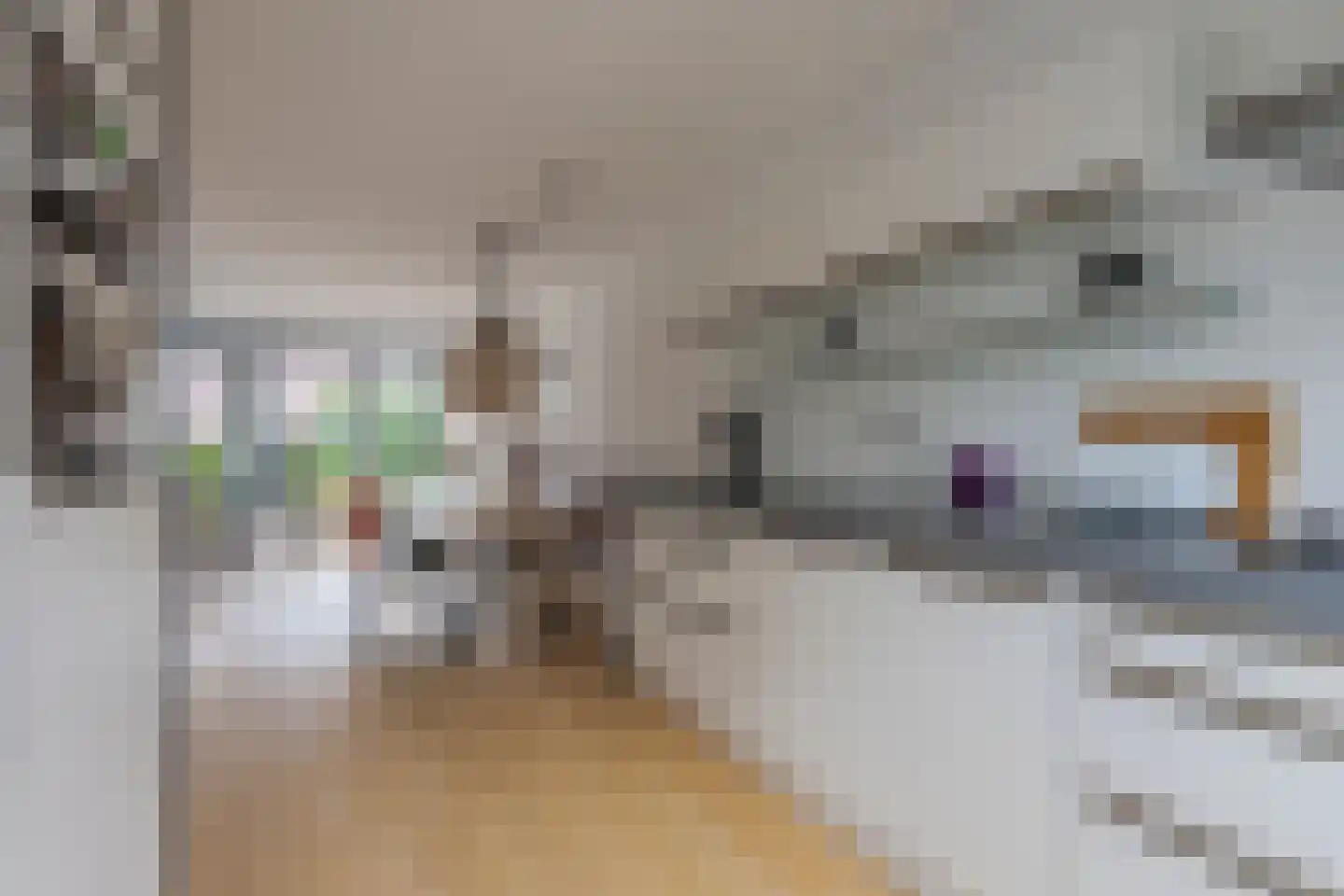 Ambonstraat 44 Zwolle thumbnail 21