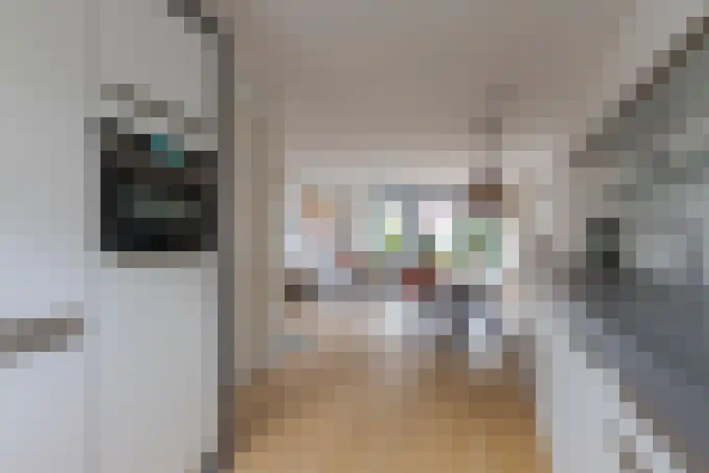 Ambonstraat 44 Zwolle thumbnail 22