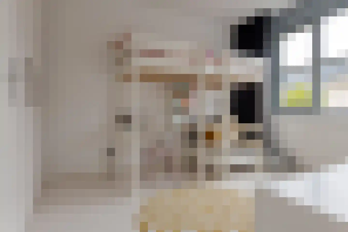 Ambonstraat 44 Zwolle thumbnail 32