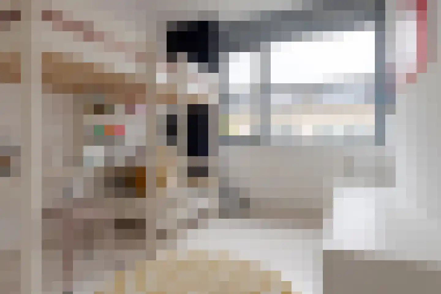 Ambonstraat 44 Zwolle thumbnail 33
