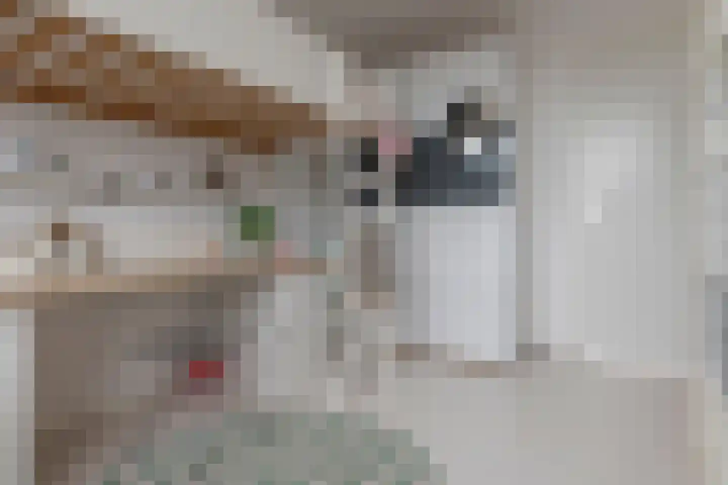 Ambonstraat 44 Zwolle thumbnail 43
