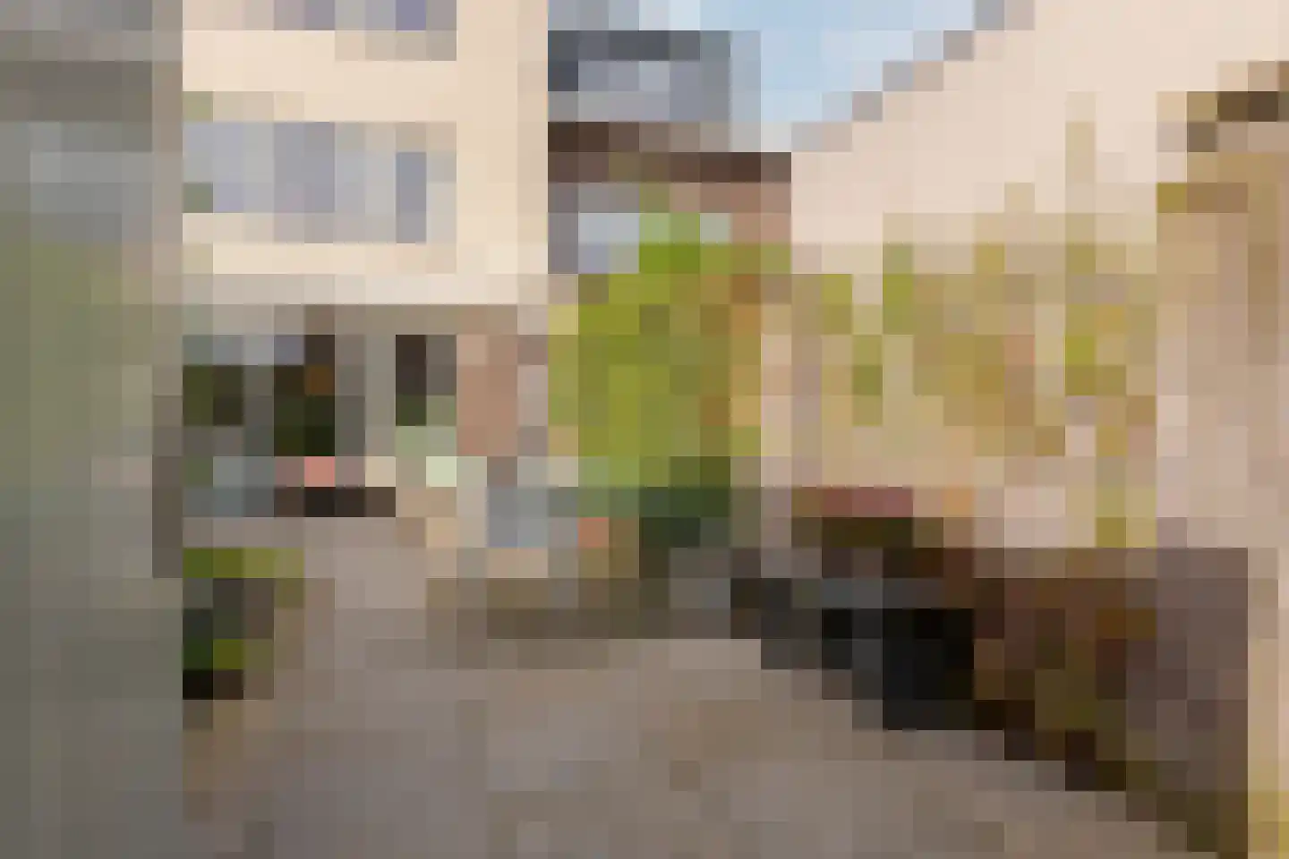 Ambonstraat 44 Zwolle thumbnail 50