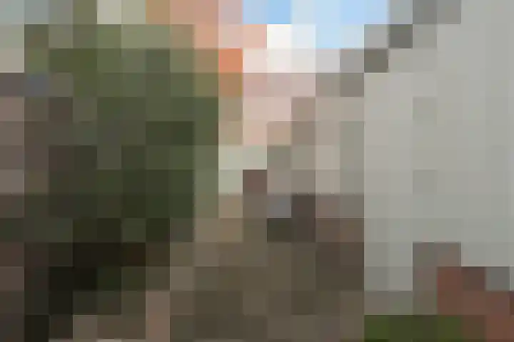 Ambonstraat 6 Dordrecht thumbnail 41