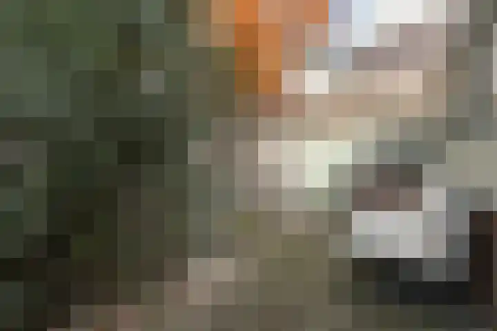 Ambonstraat 6 Dordrecht thumbnail 43