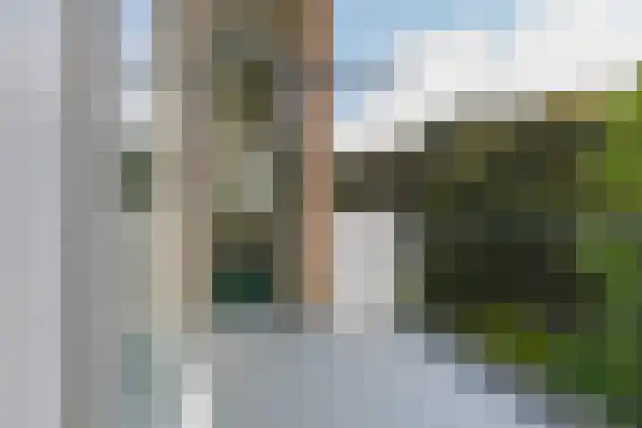 Ambonstraat 66 Alphen aan den Rijn thumbnail 24