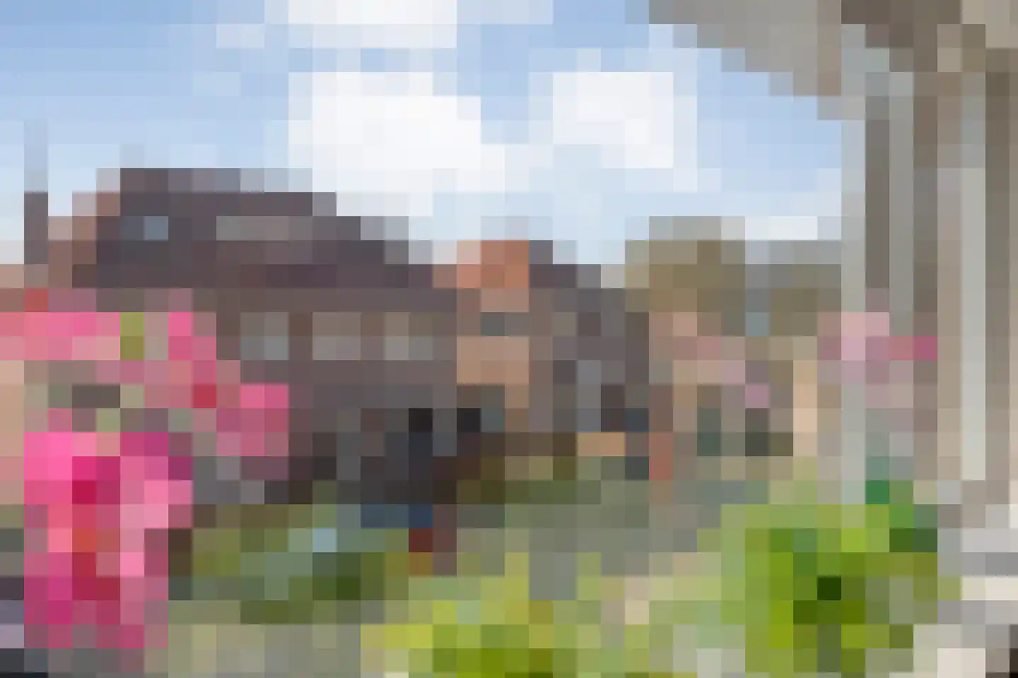 Ambonstraat 68 Meppel thumbnail 23