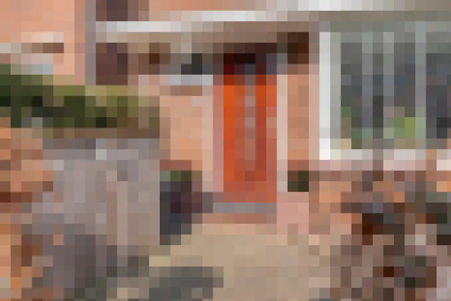 Ambonstraat 68 Meppel thumbnail 42