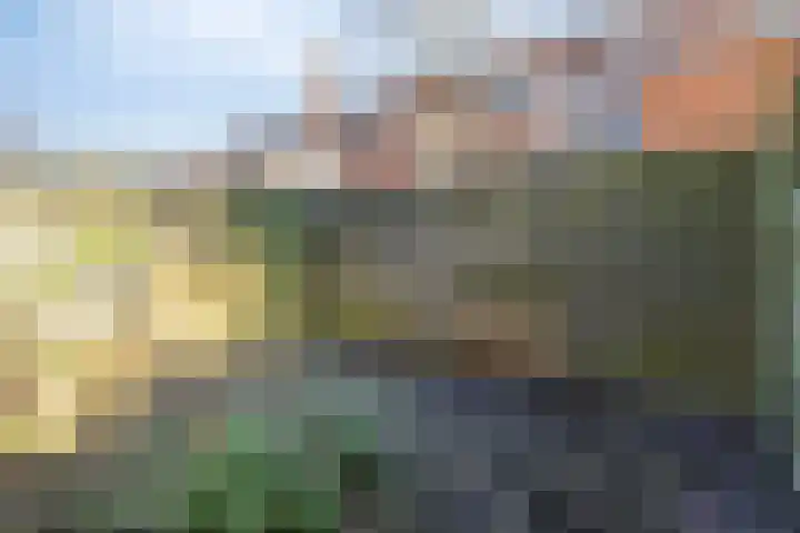 Ambonstraat 7 Groningen thumbnail 24