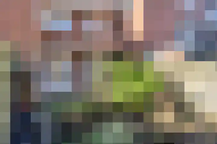 Ambonstraat 7 Groningen thumbnail 25