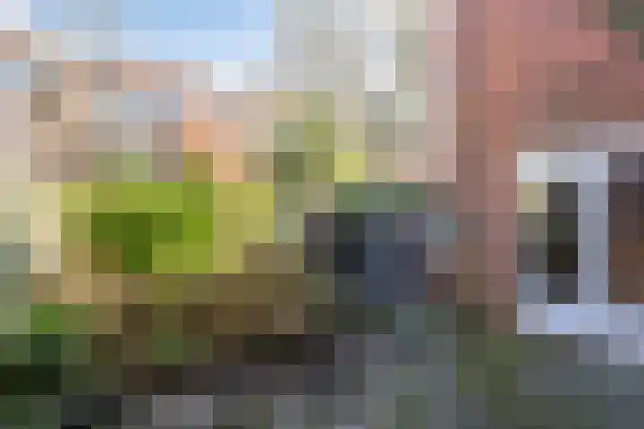 Ambonstraat 7 Groningen thumbnail 5