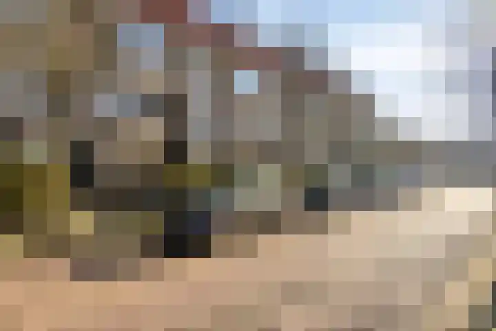 Ambonstraat 7 Groningen thumbnail 8